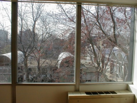View from Bedroom