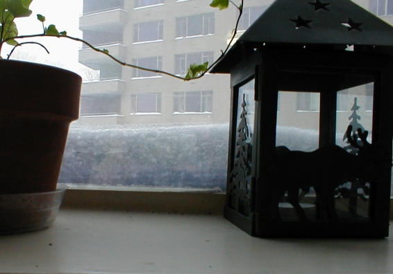 The snow piles up against the window...