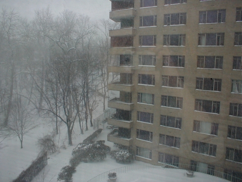 Just a ghost in the window...