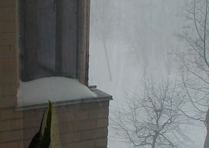 The park slowly disappears...