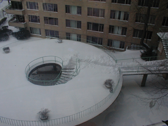 They've cleared a path