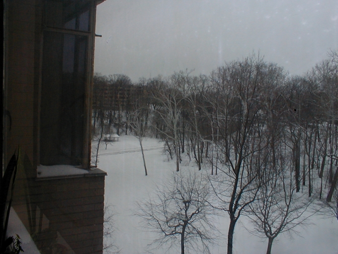 The Crestwood building on the other side of the park